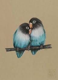 Pin By Jodi Barkowsky Jacoby On Birds Color Pencil Art Bird Drawings Color Pencil Sketch
