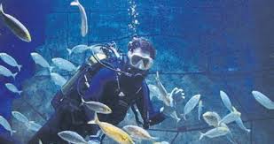 Funtastic Aquarium Izmir 1 Yasini Kutladi Egeli Sabah Haberleri