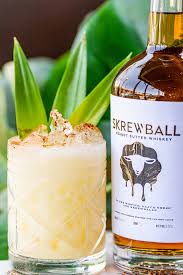 Island Of Misfits 1 5 Oz Skrewball Whiskey 75 Oz Zaya Dark Rum 5 Oz Orange Juice 5 O In 2020 Whiskey Drinks Recipes Cocktail Recipes Whiskey Mixed Drinks Recipes