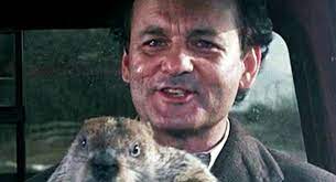 How many times over the years has the groundhog seen his shadow? Groundhog Day Movie Quiz Quiz Accurate Personality Test Trivia Ultimate Game Questions Answers Quizzcreator Com