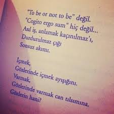 To Be Or Not To Be Degil Cogito Ergo Sum Hic Degil Asil Is Anlamak Kacinilmaz I Durdurulmaz Cigi Sonsuz Akimi Cogito Ergo Sum Siir Alintilari Ordu