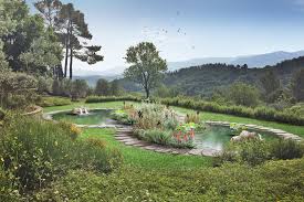 In addition, you will need to separate the swimming area of your pool and the filtration area, or plant zone. Biolakes And Natural Pools Luciani Biolake