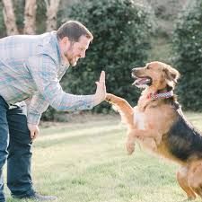 We are excited to announce that we've has joined the agape pet services family! Nansemond Pet Cremations Services Home Facebook