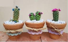 I➨aquí vas a conocer cómo saber el nit guatemala ✅ qué es el nit, para que sirve, cómo imprimir el número de nit, solicitud electrónica de solicitud de nit y más. Cronica Regalar Un Cactus Es Desearle Fortaleza A Alguien