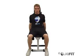Ensure that you have a firm. Dumbbell Seated Front Hammer Raises Exercise Database Jefit Best Android And Iphone Workout Fitness Exercise And Bodybuilding App Best Workout Tracking Software