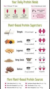 Plant Based Protein Chart Plant Based Protein Protein