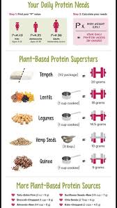 plant based protein chart plant based protein protein