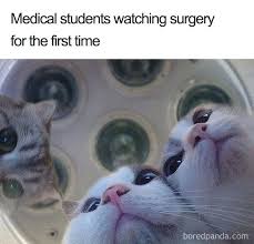 Some medical memes for you - Album on Imgur