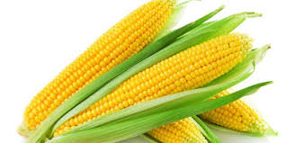 Jeruk memiliki kandungan pektin yang mampu mencegah stroke istemik yang disebabkan oleh penyumbatan. Hindari Penyakit Jantung Dengan Makan Jagung Merdeka Com