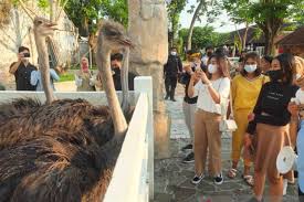 10 tempat wisata di jember yang cocok untuk liburan 2019jember merupakan sebuah kabupaten di jawa timur, kabupaten ini memiliki sejuta pesona dan panaroma. Ydfcybbfh1ceam