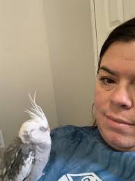 Cute moments with pet birds and trust building