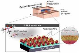 The disruption is caused by the blocking of acetylcholinesterase, an enzyme that catalyzes the breakdown of acetylcholine, a neurotransmitter. Biosensors Free Full Text Plasmonic Sensors For Monitoring Biological And Chemical Threat Agents Html