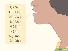 Otherwise, phonetic symbols may not display correctly. 3 Ways To Pronounce The Letters Of The French Alphabet Wikihow