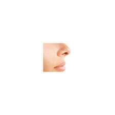 Comment Se Deboucher Le Nez Guide Huiles Essentielles