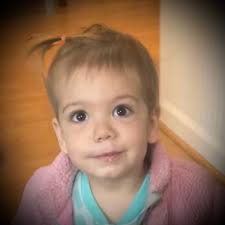 Of foxes, finches, and Franna