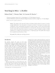 Image result for Melinis macrochaeta