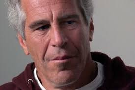 Shock as huge TARANTULA found in British hospital