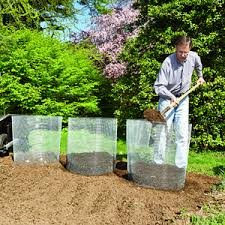 We did not find results for: Pin By Sandy Beams On Gardening Towards Eden Edible Planting Potatoes Growing Potatoes Growing Vegetables