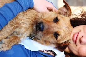 We did not find results for: Friuli Bus Aperti Agli Animali Tutte I Limiti E Le Beffe Del Servizio