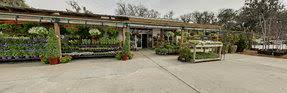 Yes, there are lots of live oaks and lovely squares, but savannah also has a lively bar scene, innovative restaurants and a rich, storied past. Best 30 Garden Centers In Savannah Ga With Reviews Yp Com