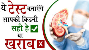 Pin On Causes Of Kidney Disease