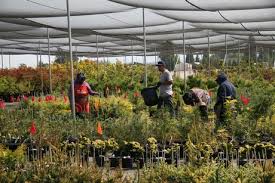 Farwest landscape and garden center has been serving boise for over 44 years. Us Or Farwest Show Offers Tours Of Garden Centers Sustainable Businesses And Wholesale Nurseries