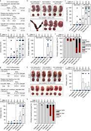 Maybe you would like to learn more about one of these? Malignant Tumor Subordinate Pathetic Radics Mate Mhssz Hu Rivieraprimeinvestment Com