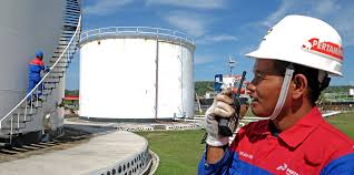 The issue pertains to its annual statutory audit for the financial year ended dec 31, the integrated engineering services provider said in a statement today, but did not. Shell Pttep And Pertamina Award Work To Malaysian Contractor Upstream Online