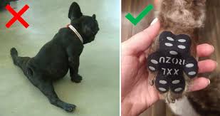 These Dog Pad Grips Will Help Prevent Your Dog From Slipping On Hardwood Or Tiled Floors In 2020 Dog Pads Dogs Your Dog