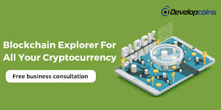 Bscscan allows you to explore and search the binance blockchain for transactions, addresses, tokens, prices and other activities taking place on binance (bnb). Bitcoin Block Explorer Blockchain Explorer Developcoins