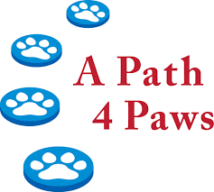 Maybe you would like to learn more about one of these? Pets For Adoption At A Path 4 Paws Dog Rescue In Las Vegas Nv Petfinder
