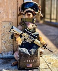 Pin On Cute Animal Memes
