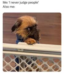 DOGS | PUPPIES | MEMES | The “doggie ...