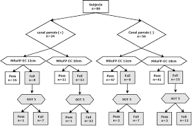 Image result for Romberg Test