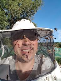 Is it normal for bees to act crazy without smoking?