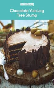 Christmas cookie christmas cookie dessert. Chocolate Yule Log Tree Stump Recipe Chocolate Yule Log Yule Log Recipe Best Christmas Recipes
