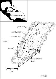 Map Of Glover S Reef Atoll Belize Showing Distribution Of Habitats Download Scientific Diagram