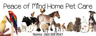 Whether you are at work, or away on vacation, i provide wonderful, experienced pet care to any type of animal who is a part of your family. Peace Of Mind Home Pet Care Home Facebook
