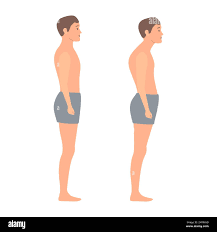 Image result for Posture