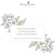 Just Living Is Not Enough One Must Have Sunshine Just Living Is Not Enough One Must Have Sunshine Freedom And A Little Flower Hans Christian Andersen Quote Summer Inspir Get Inspired Inspi