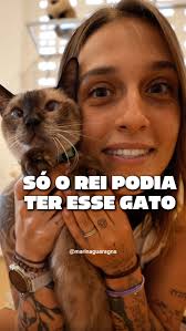 gato siamês significa gato tailandês 🐈🇹🇭 e ele era exclusivo da realeza  👑 · sabia disso? (sim, é muita fofura em um vídeo só)