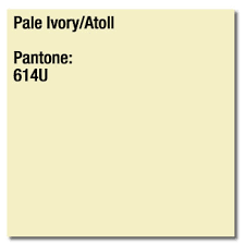 A4 100gsm Pale Ivory Atoll Image Coloraction Paper Pantone 614u 500 Sheets