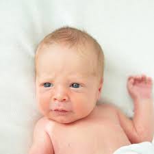 Elizabeth Ashdown Photography