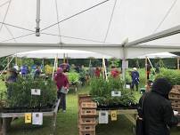 Maine Audubon Native Plants Festival & Sale