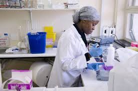 National institute of health (nih). National Institute For Medical Research Keyword Search Science Photo Library