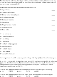 Maybe you would like to learn more about one of these? Name 4 A Typical Phenotypic Ratio For A Dihybrid Cross Is A 9 1 B 3 4 C 9 3 3 1 D 1 2 1 2 1 E 6 3 3 6 Pdf Free Download