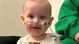 Fundraiser for Matthew Best by The Bests : Baby Brooklyn & Hyper IgM  Syndrome