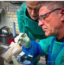 Plastination Project