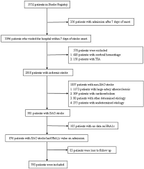 Flow Chart Of Patient Selection Sao Small Artery Occlusion