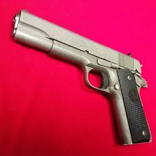 Image result for Grace Silver 1991 Colt